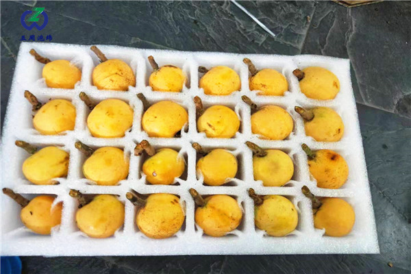 枇杷內(nèi)托的制作材料對(duì)人體有害嗎？